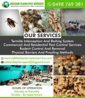 Residential Pest Control Services in Adelaide image 1
